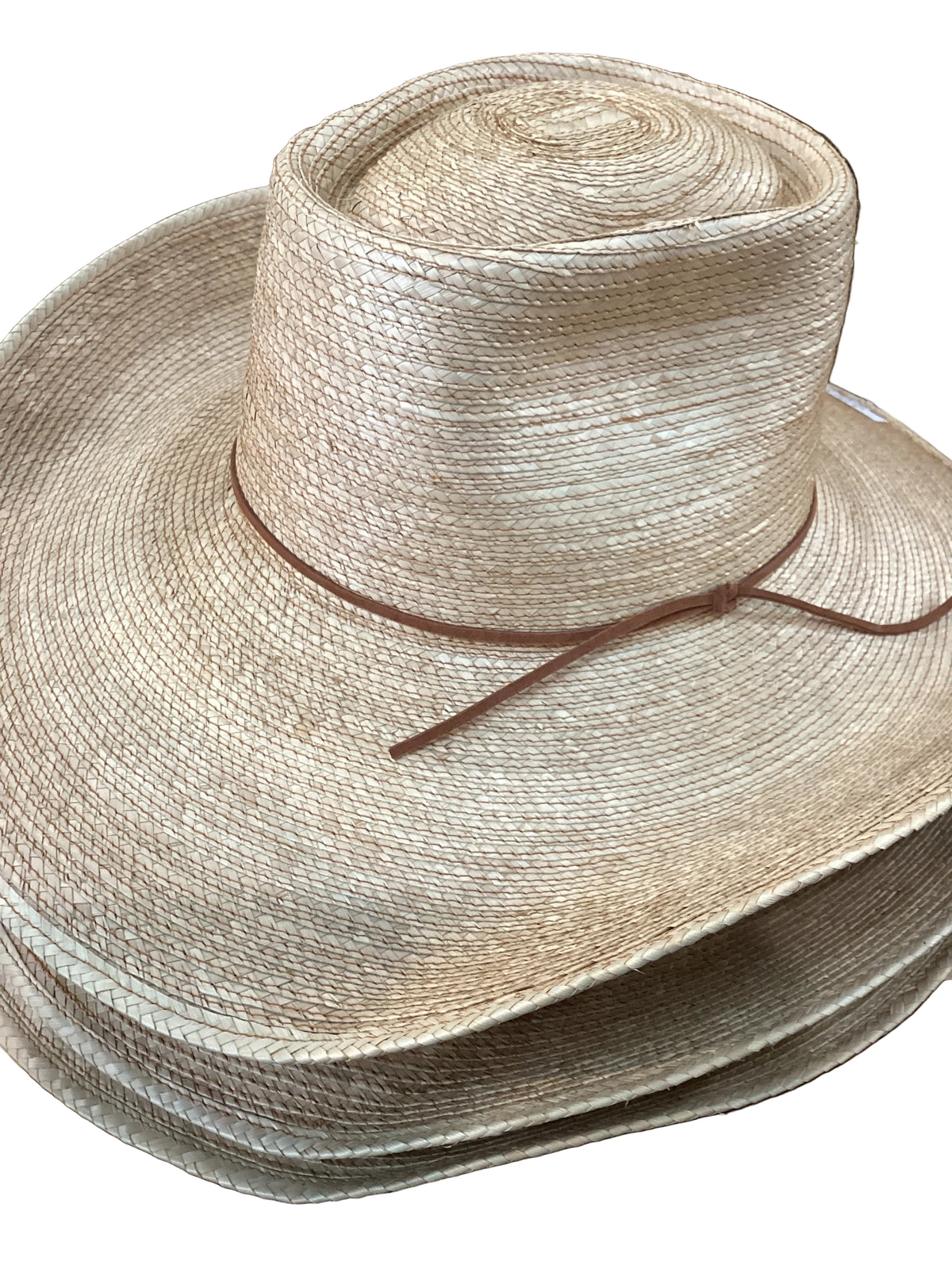 Reata III Palm Hat