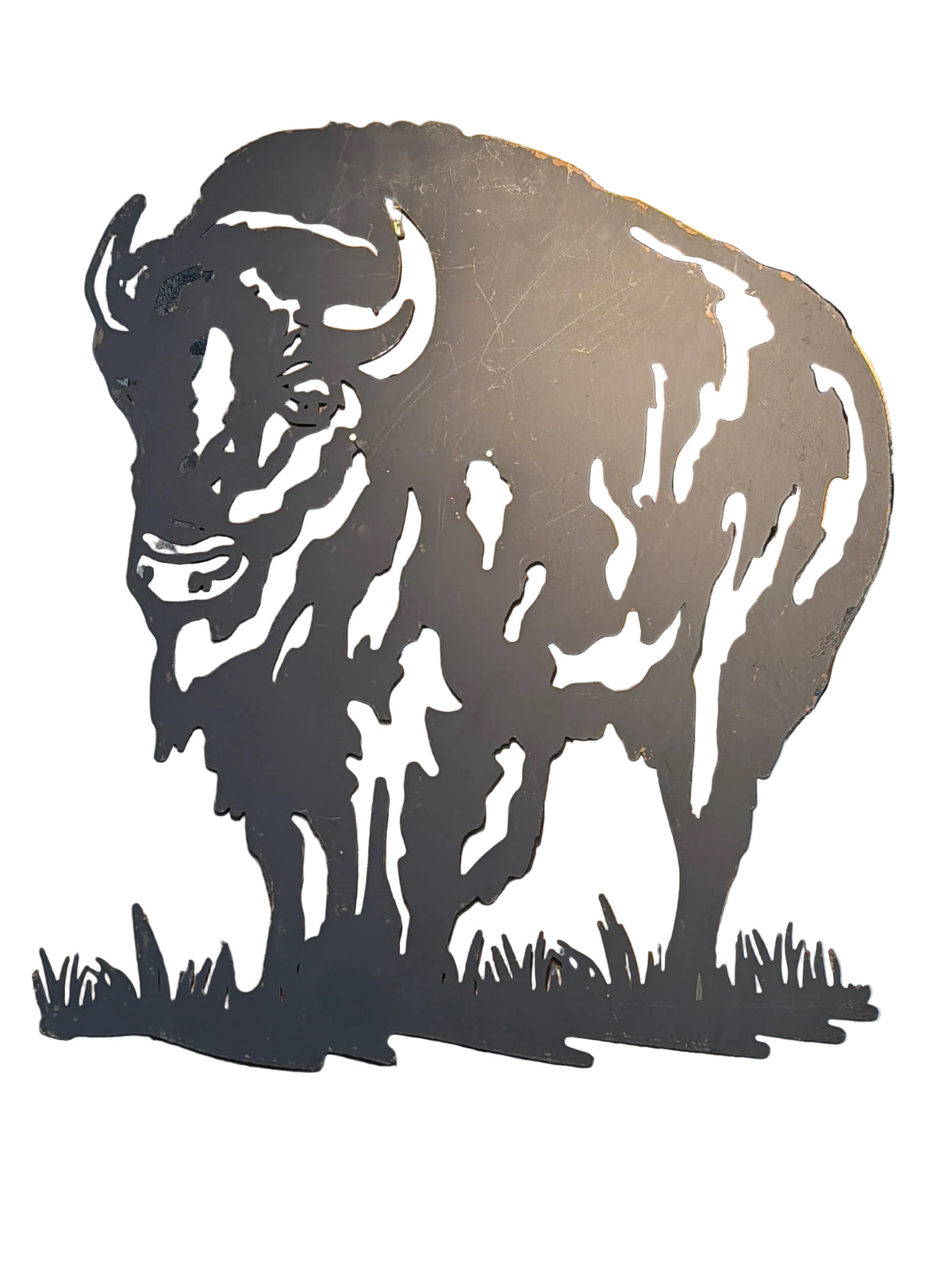 Buffalo Bill Art