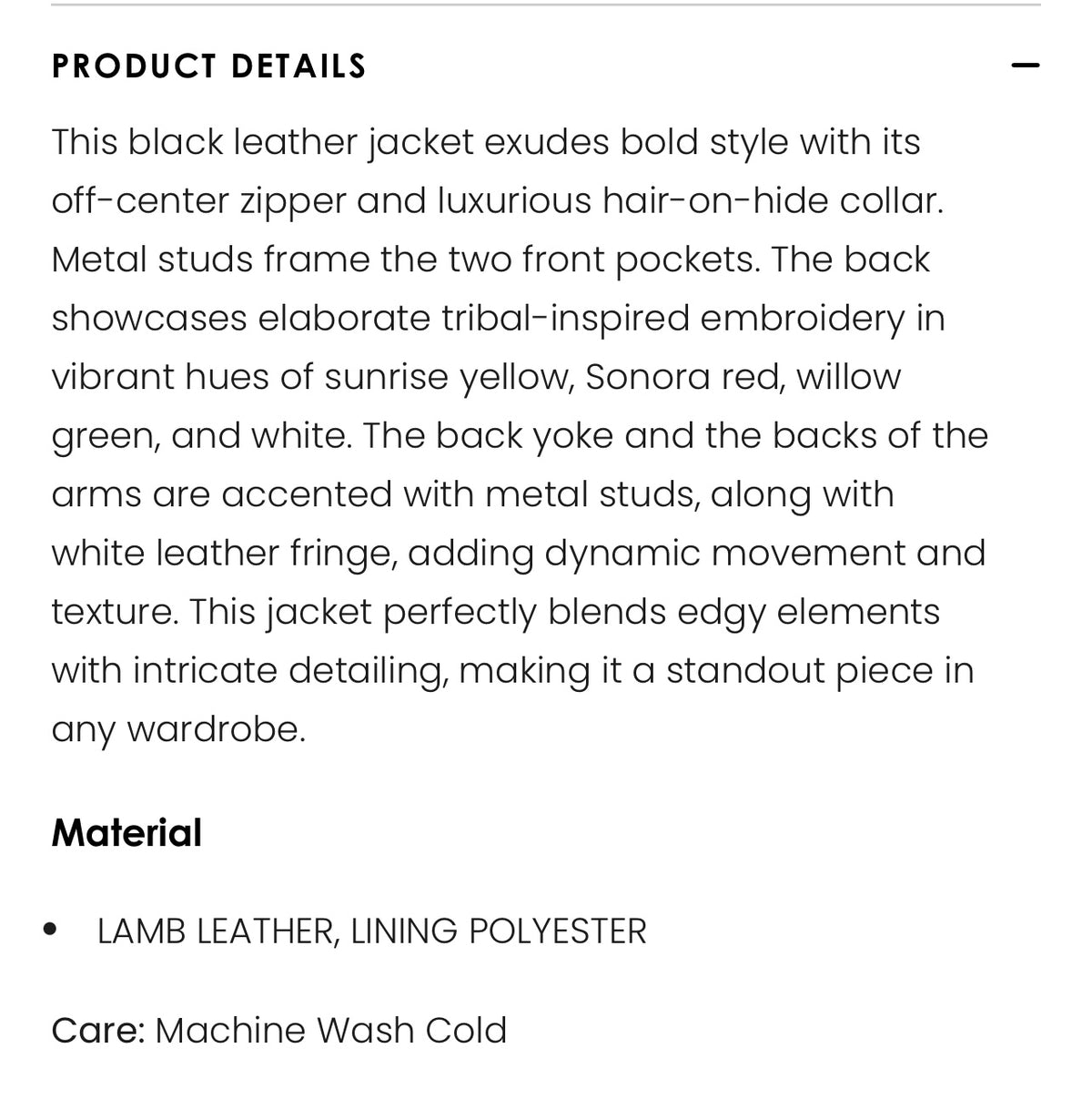 Phoenix Fringe Leather Jacket