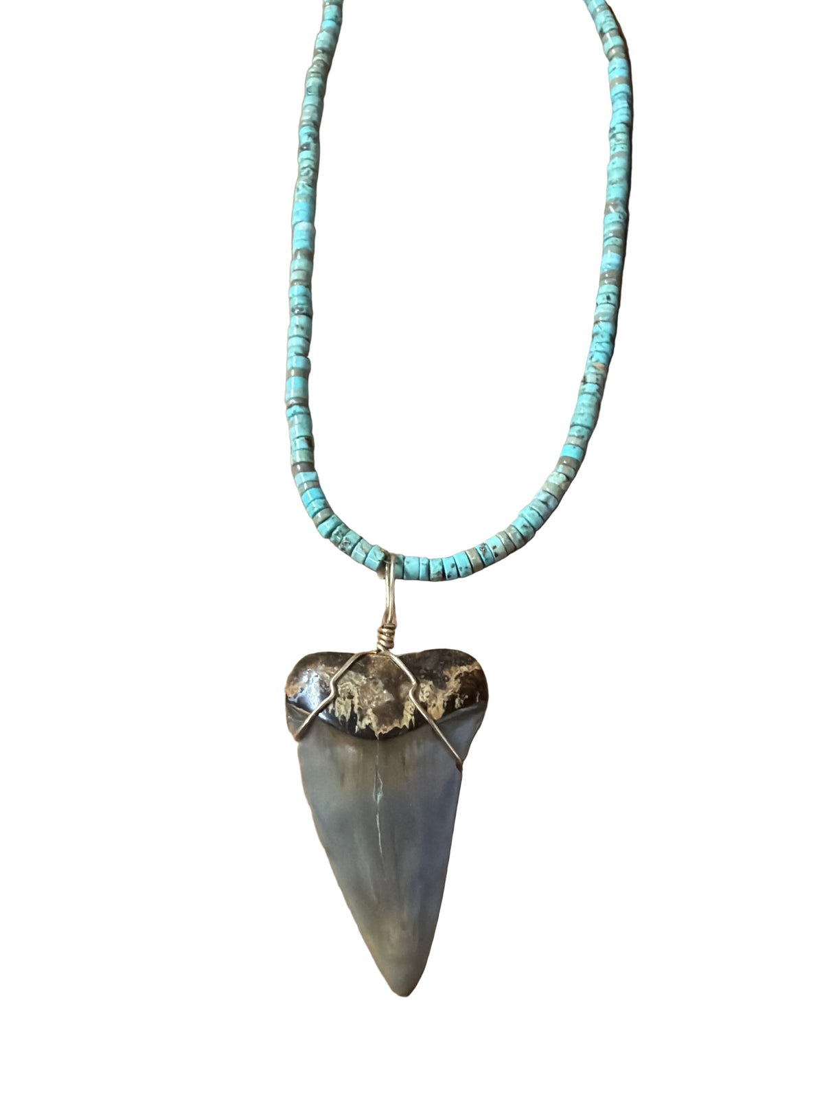 Neptune’s Tooth
