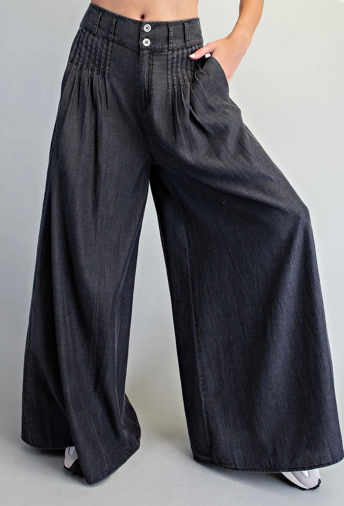 Hollester Pant