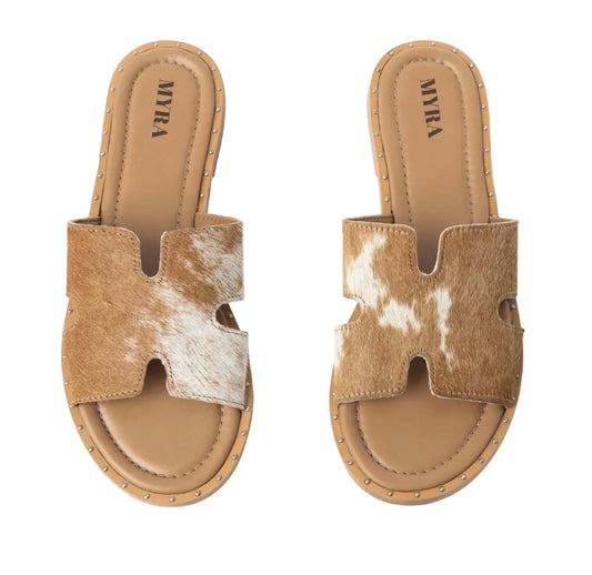 Daleena Sandal